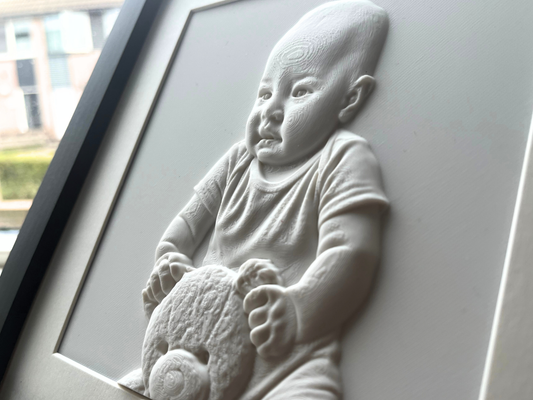 3D-kunstwerk in luxe lijst