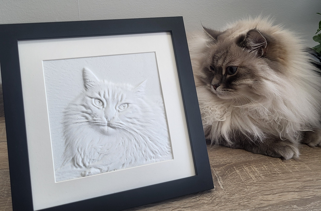 Een 3D-kunstwerk van je huisdier: leuk cadeau om te geven