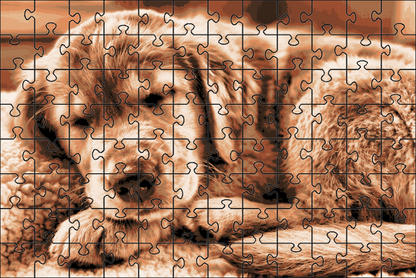 Fotoreliëfpuzzel