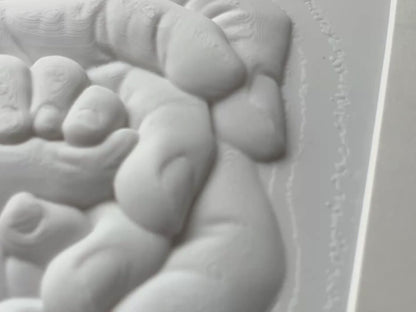 3D-kunstwerk in luxe lijst