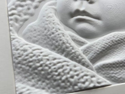 3D-kunstwerk in luxe lijst